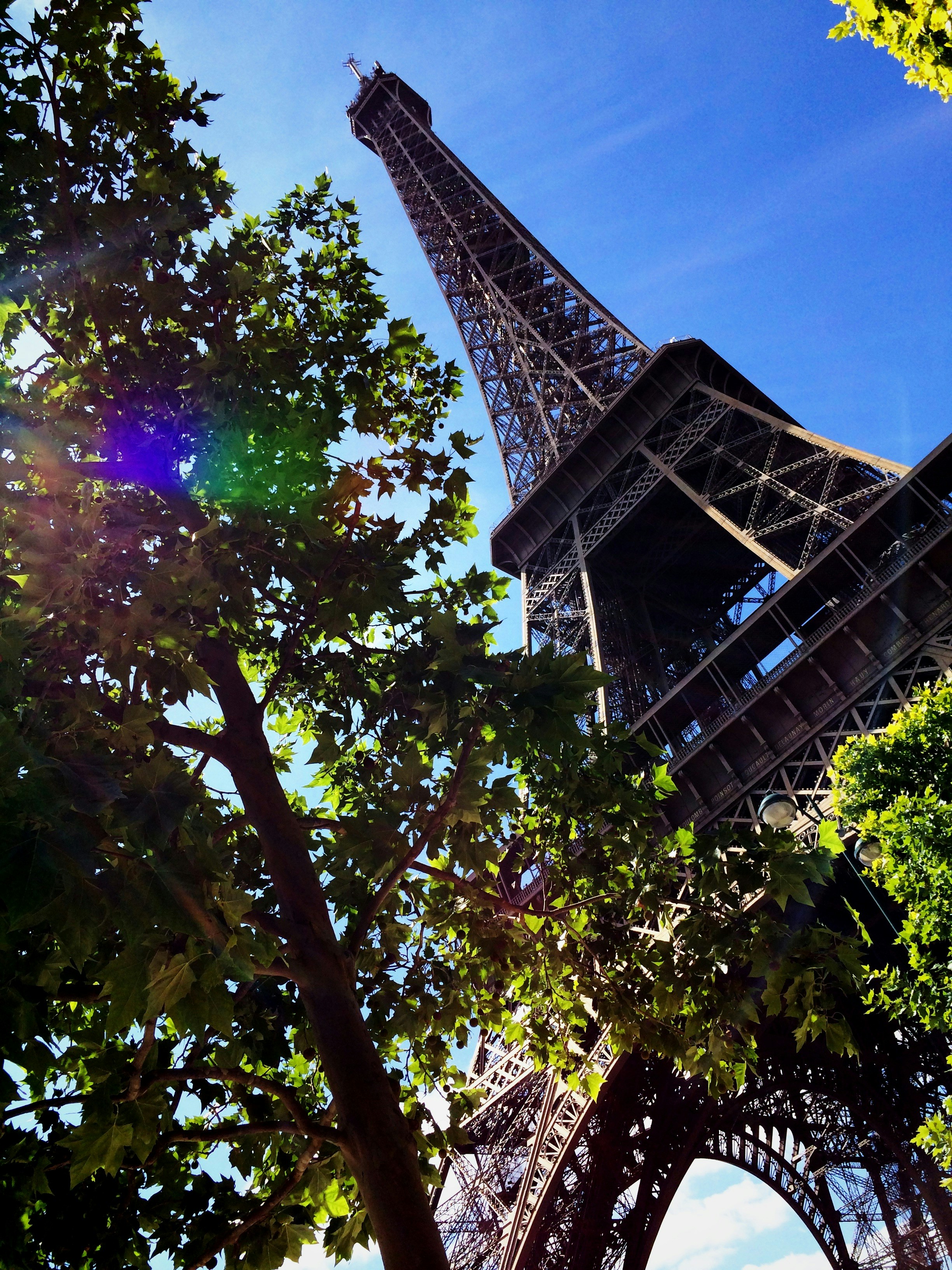 Angled Eiffel Tower with tree